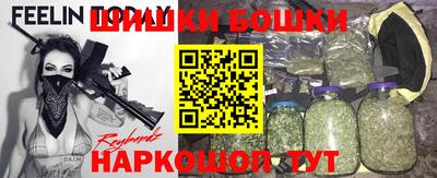 ГАЛЛЮЦИНОГЕННЫЕ ГРИБЫ Кингисепп