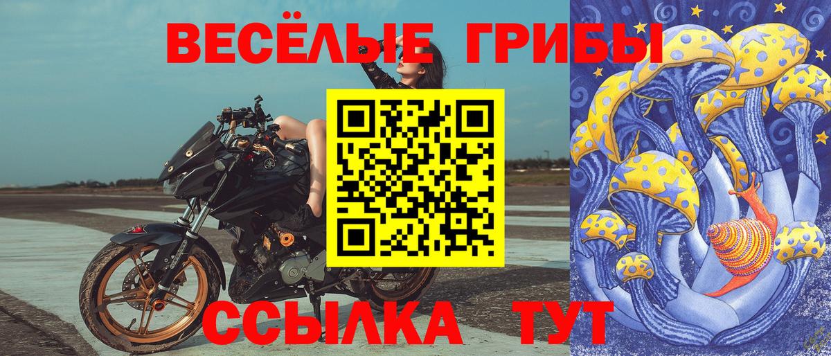 Галлюциногенные грибы GOLDEN TEACHER Красноуфимск