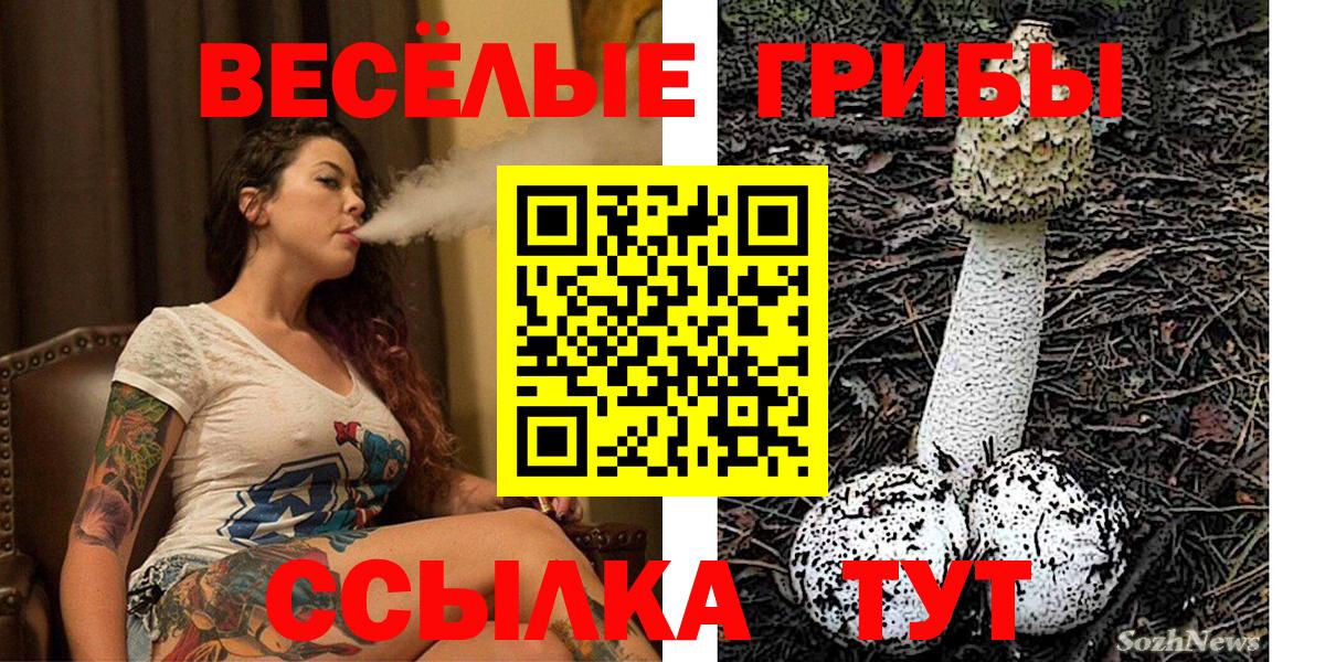 Галлюциногенные грибы Magic Shrooms  Галлюциногенные грибы Cubensis  Красноуфимск  Вход с VPN 
